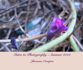 Intro to Photography - Summer 2012 book cover