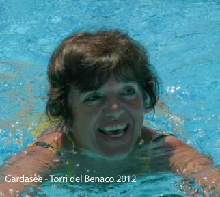 Gardasee-Torri del Benaco 2012 book cover