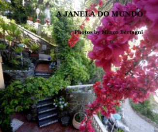 A JANELA DO MUNDO book cover