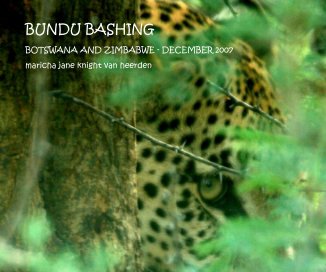 BUNDU BASHING IN BOTSWANA AND ZIMBABWE book cover