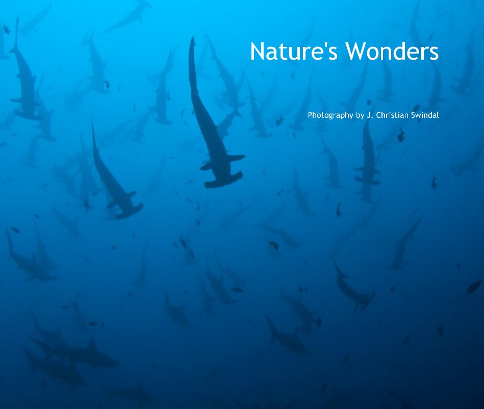 Nature's Wonders nach Photography by J. Christian Swindal anzeigen