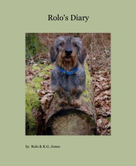 Rolo's Diary book cover