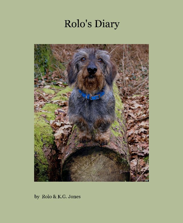 View Rolo's Diary by Rolo & K.G. Jones