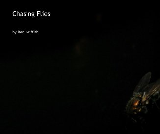 Chasing Flies book cover