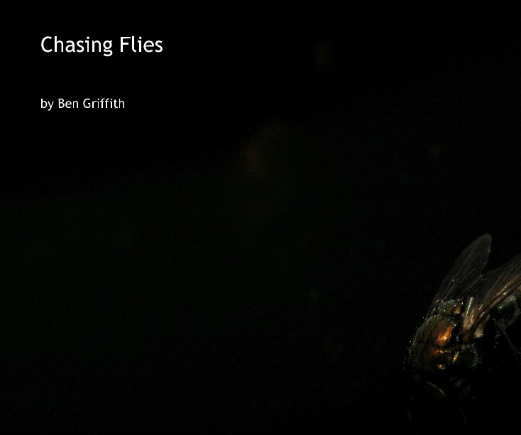 View Chasing Flies by Ben Griffith