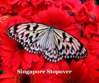 Singapore Stopover book cover