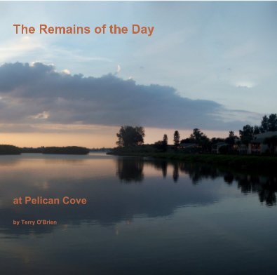 The Remains of the Day at Pelican Cove by Terry O'Brien book cover
