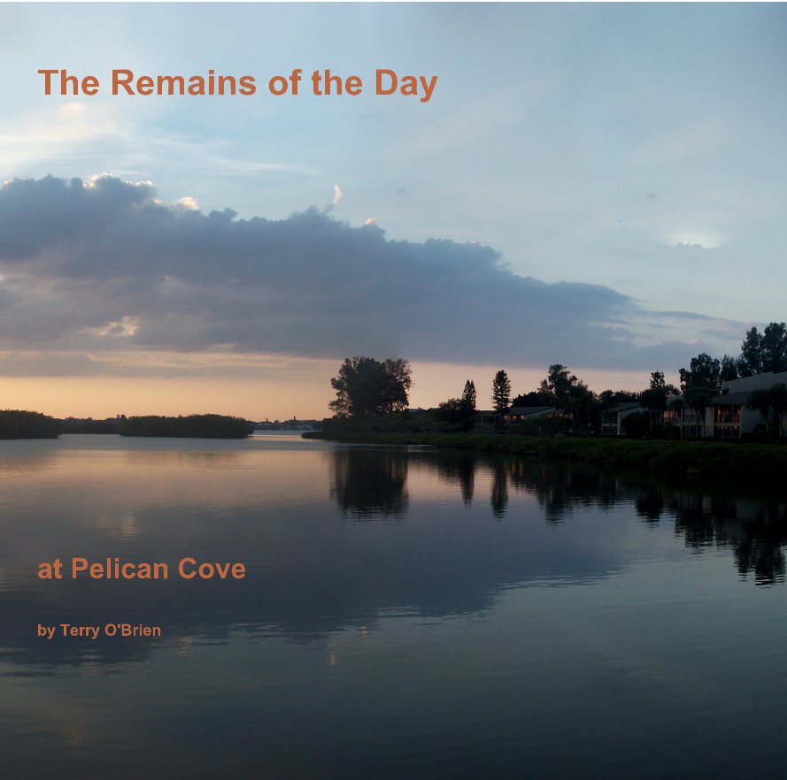 Visualizza The Remains of the Day at Pelican Cove by Terry O'Brien di Terry O'Brien