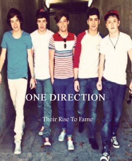 ONE DIRECTION - Their Rise To Fame book cover
