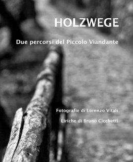 HOLZWEGE book cover