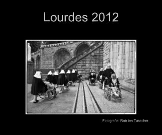 Lourdes 2012 book cover