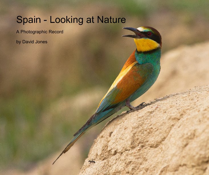 View Spain - Looking at Nature by David Jones