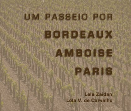 Um Passeio Por Bordeaux, Amboise e Paris book cover