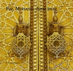 fez, morocco, june 2012 book cover