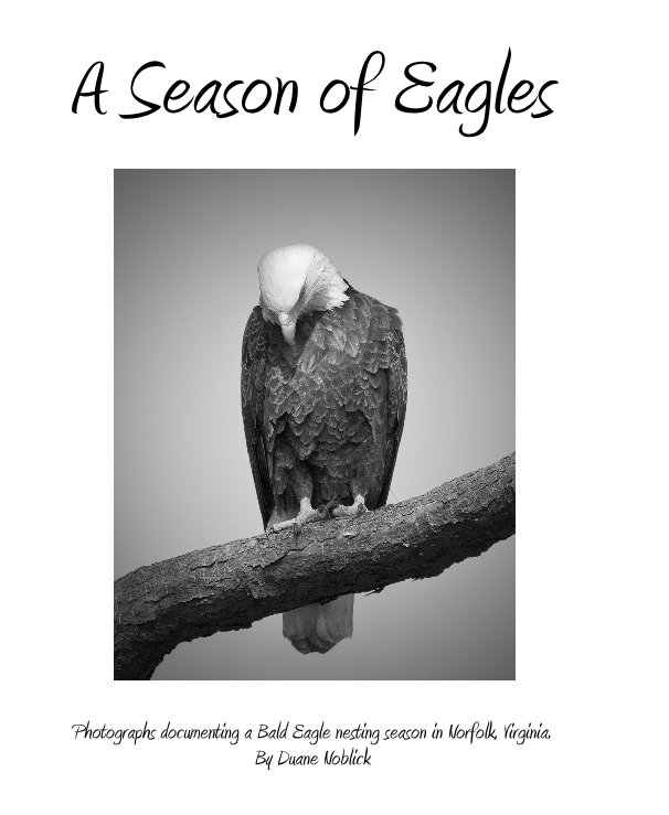 View A Season of Eagles by Photographs documenting a Bald Eagle nesting season in Norfolk, Virginia. By Duane Noblick