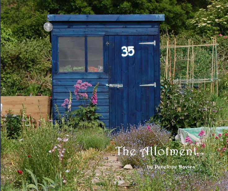 View The Allotment by Penelope Davies