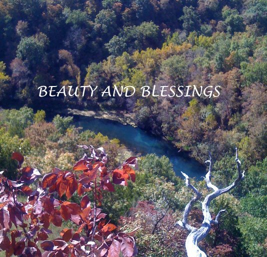Visualizza BEAUTY AND BLESSINGS di donnasue23