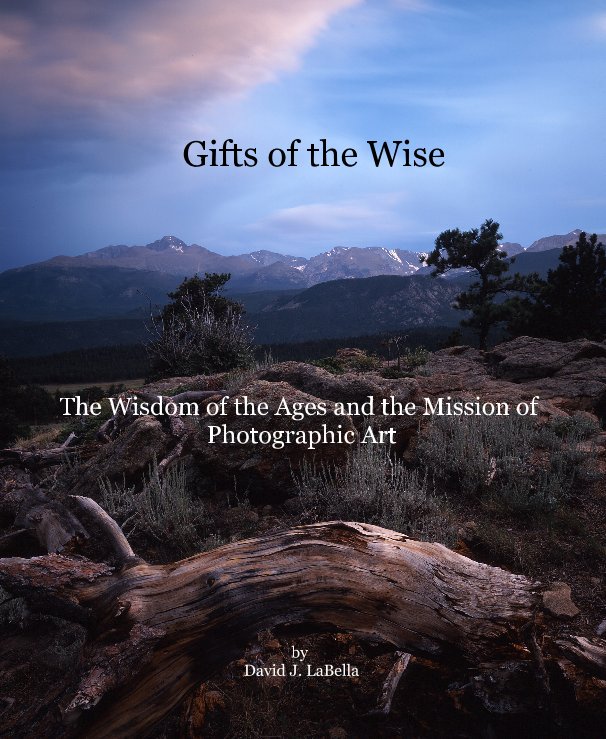 View Gifts of the Wise by David J. LaBella