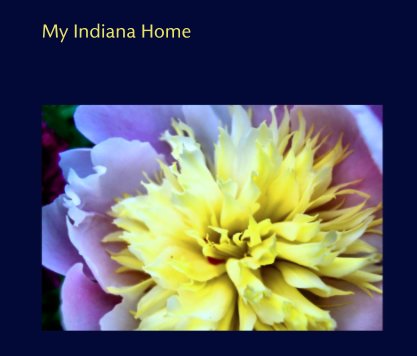 My Indiana Home book cover