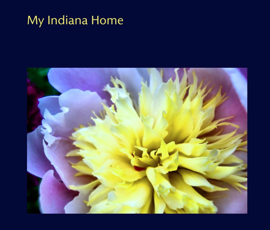 Visualizza My Indiana Home di MPARTS