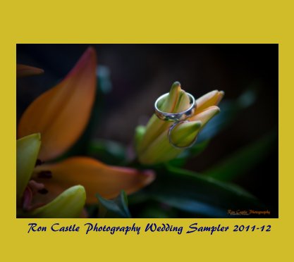 WEDDING SAMPLER 2011-12 book cover