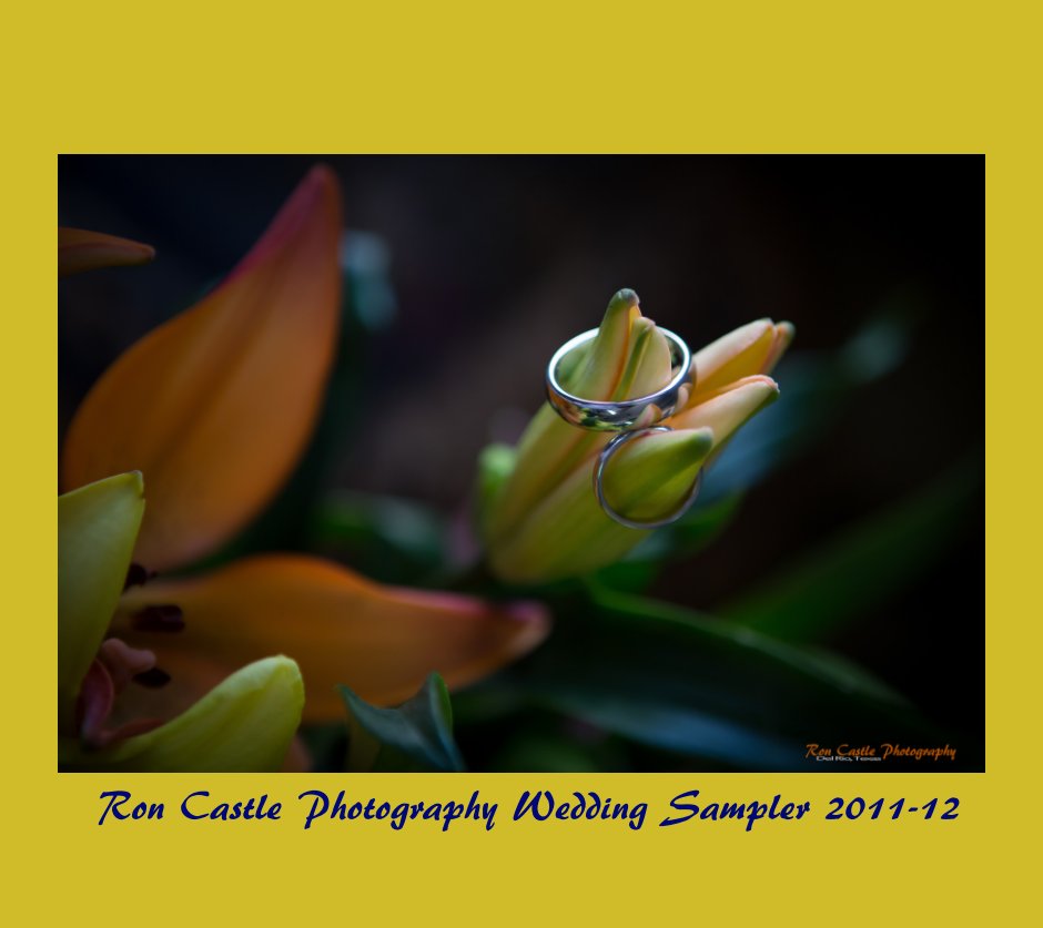 Ver WEDDING SAMPLER 2011-12 por Ron Castle Photography