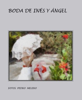 BODA DE INÉS Y ÁNGEL book cover