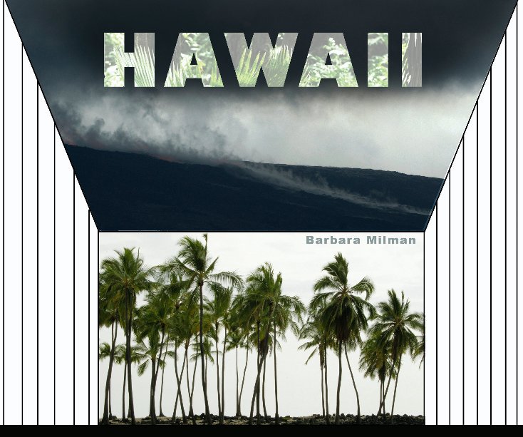 View Hawaii by Barbara Milman