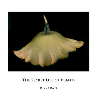 The Secret Life of Plants book cover