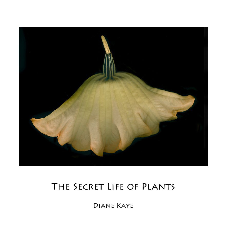 View The Secret Life of Plants by Diane Kaye
