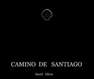 MI  CAMINO  DE  SANTIAGO book cover