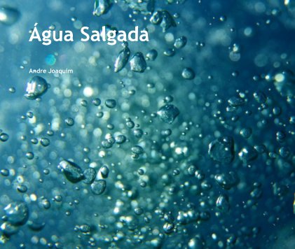 Água Salgada book cover