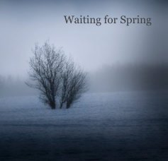 Waiting for Spring book cover