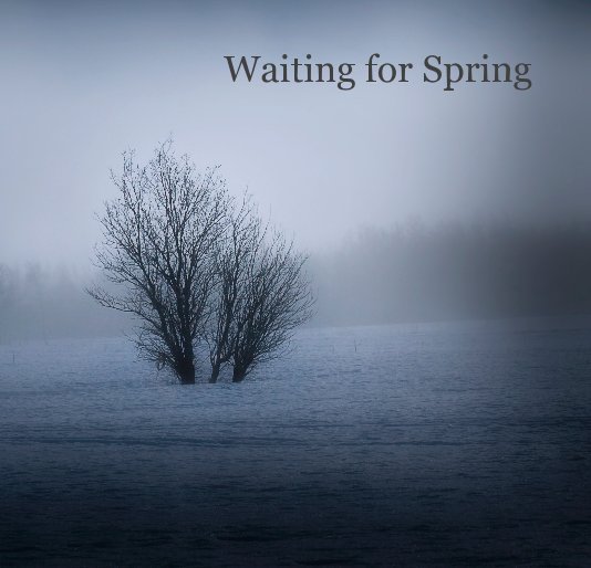 View Waiting for Spring by chabarang