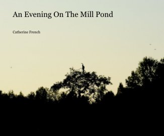 An Evening On The Mill Pond book cover