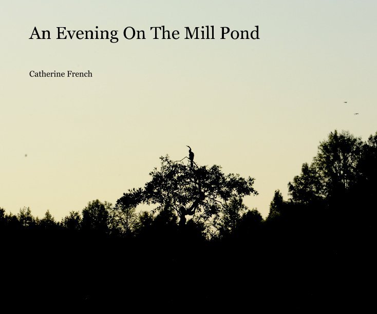 View An Evening On The Mill Pond by Catherine French