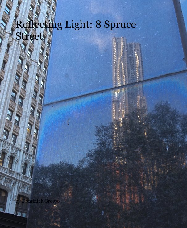 View Reflecting Light: 8 Spruce Street by Dominick Grosso