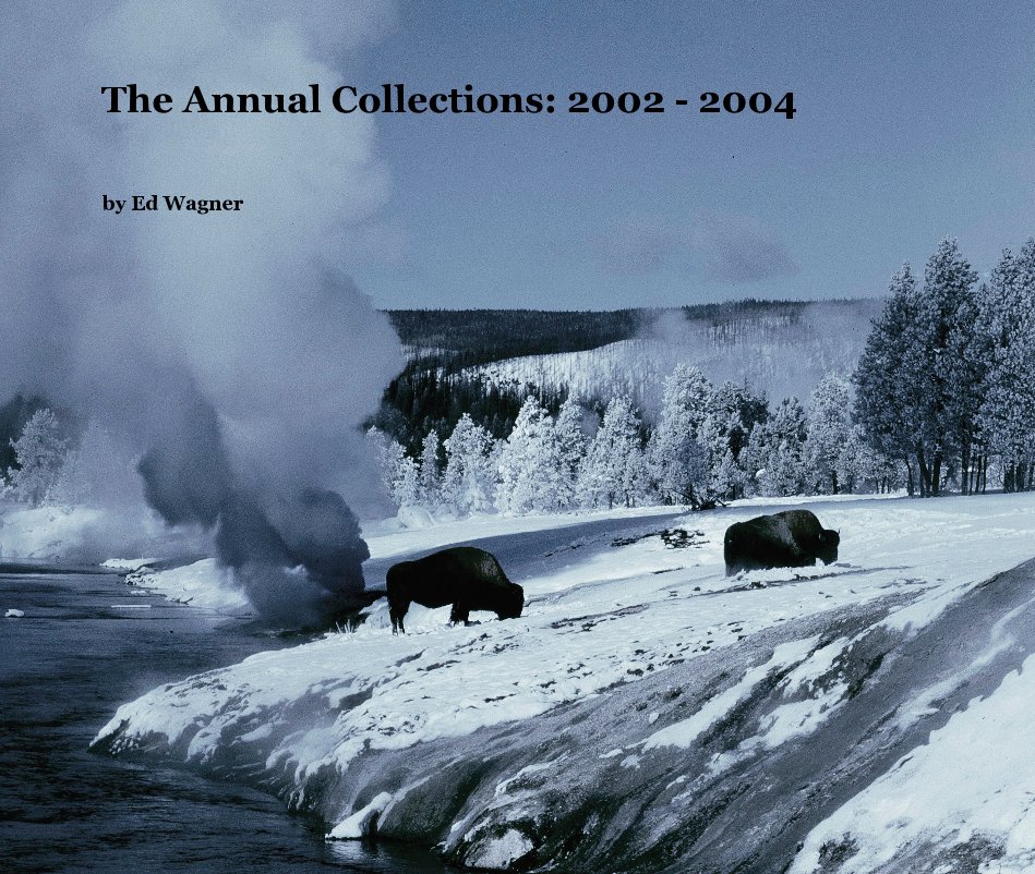 Ver The Annual Collections: 2002 - 2004 por Ed Wagner