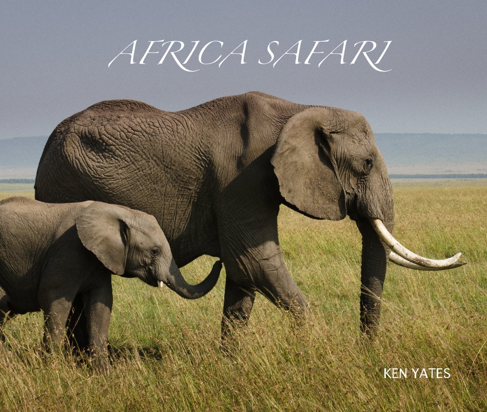 View AFRICA SAFARI by KEN YATES