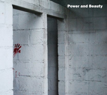 Power and Beauty book cover