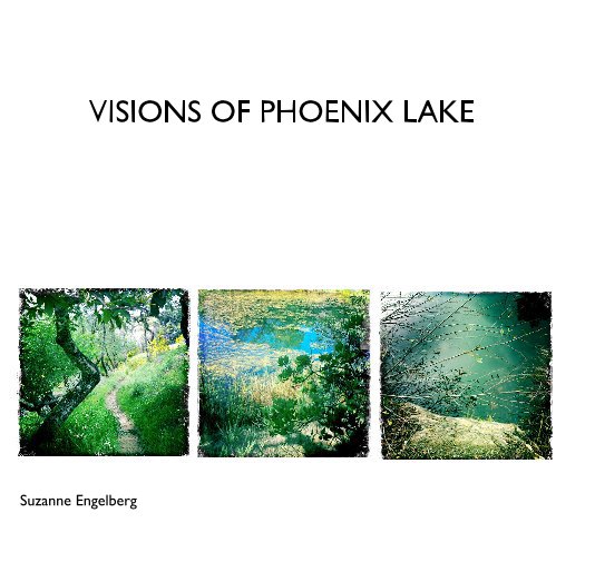 View VISIONS OF PHOENIX LAKE by Suzanne Engelberg