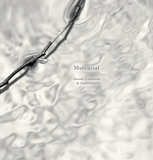 View Mercurial by Dorothy Gantenbein & Andrea Satin