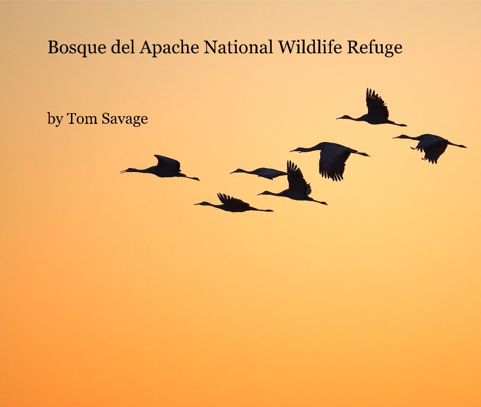 View Bosque del Apache National Wildlife Refuge by Tom Savage
