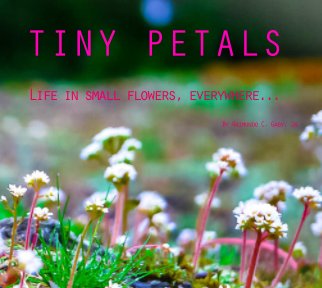 Tiny Petals book cover