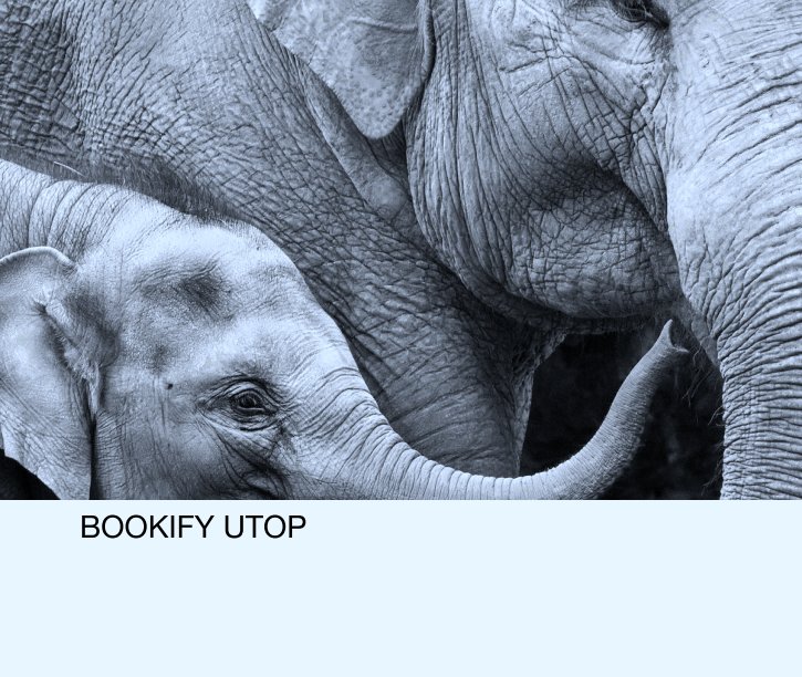 View BOOKIFY UTOP by QA7