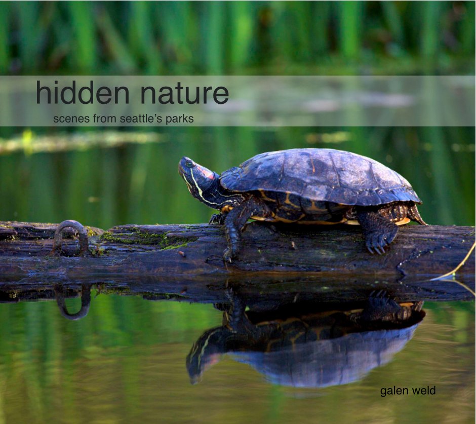 View Hidden Nature by Galen Weld