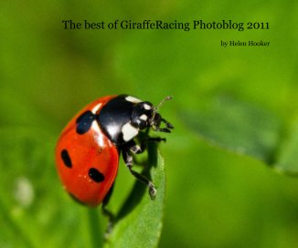 The best of GiraffeRacing Photoblog 2011 book cover