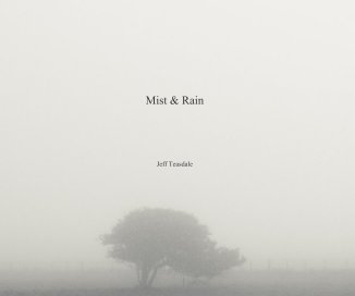 Mist & Rain Jeff Teasdale book cover