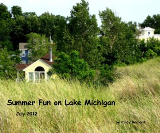 Summer Fun on Lake Michigan book cover