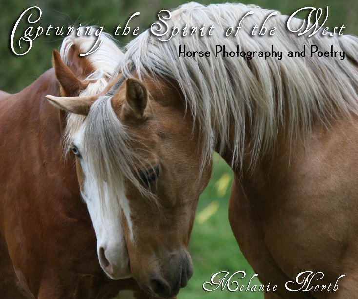 View Capturing The Spirit of the West by Melanie North